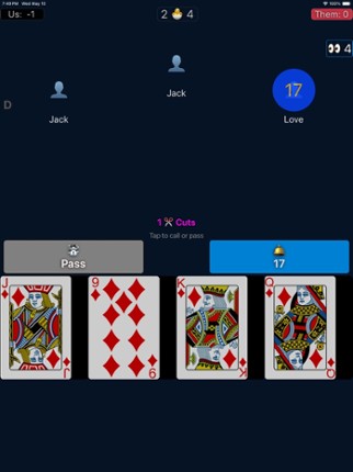 Play 29 Live screenshot