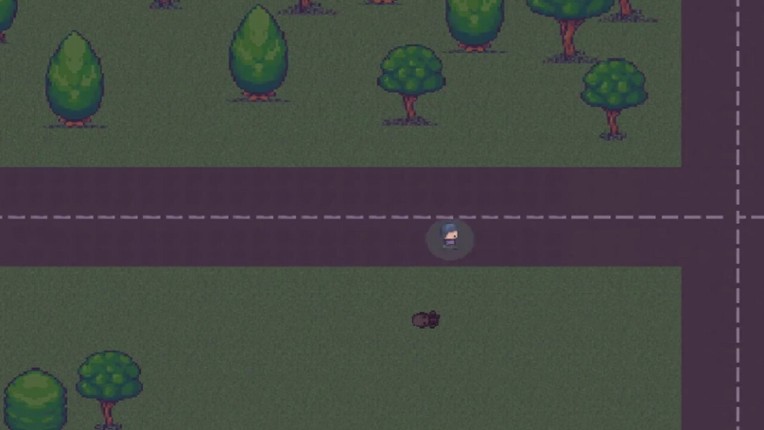 RZR screenshot