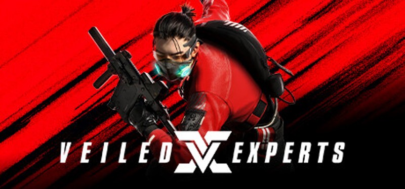 VEILED EXPERTS Image