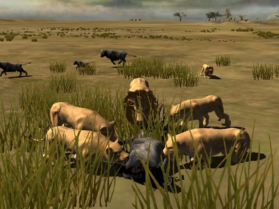 Africa Wild Free screenshot