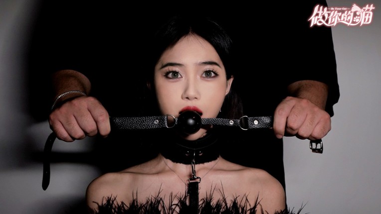 BeYourCat screenshot