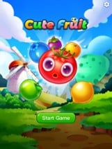 Cute Fruit 2020 Image