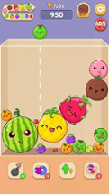 Fruit Drop Game Image