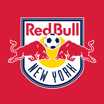 Red Bull New York Image