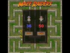 Maze Raiders Image