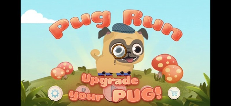 Pug Run Image