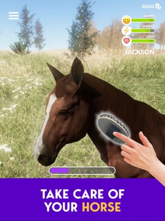 Real Horse Image