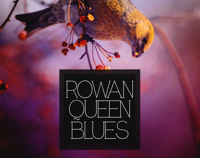 Games like Rowan Queen Blues