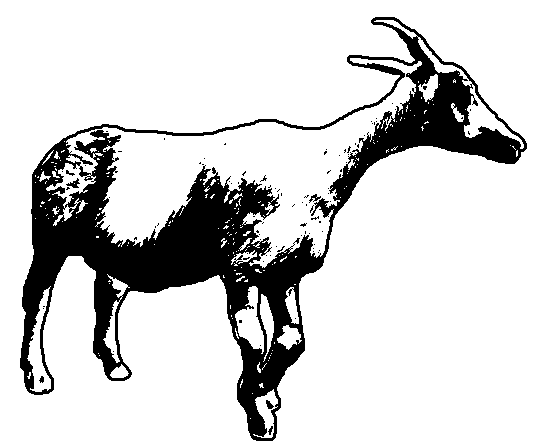 Games like Wizard Evading Tax Simulator