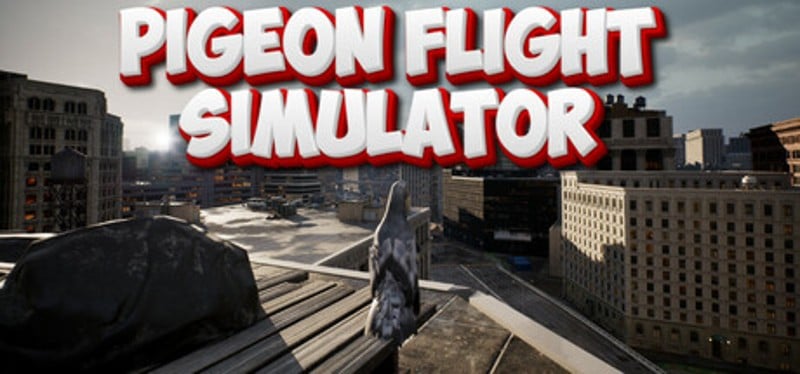Pigeon Flight Simulator Image