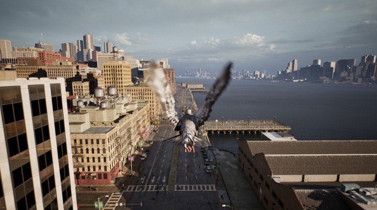 Pigeon Flight Simulator screenshot