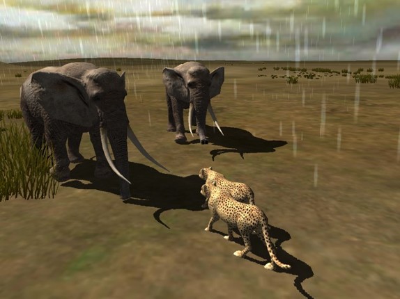 Africa Wild Free screenshot