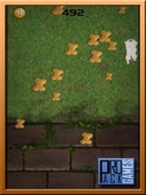 Cat Runaway on Valentine Day - Cute Kitten Games Image