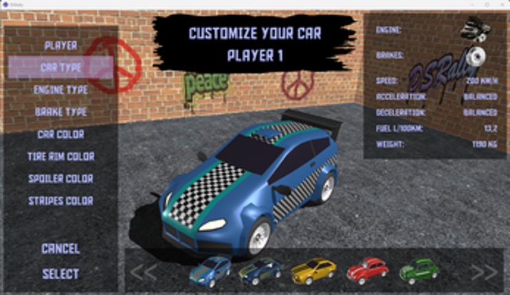 DSRally screenshot