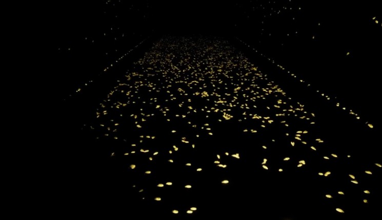 Gallery X screenshot