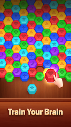 Wood Hexa - Color Sort Puzzle screenshot
