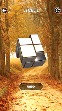 Magic Cube Puzzle Image