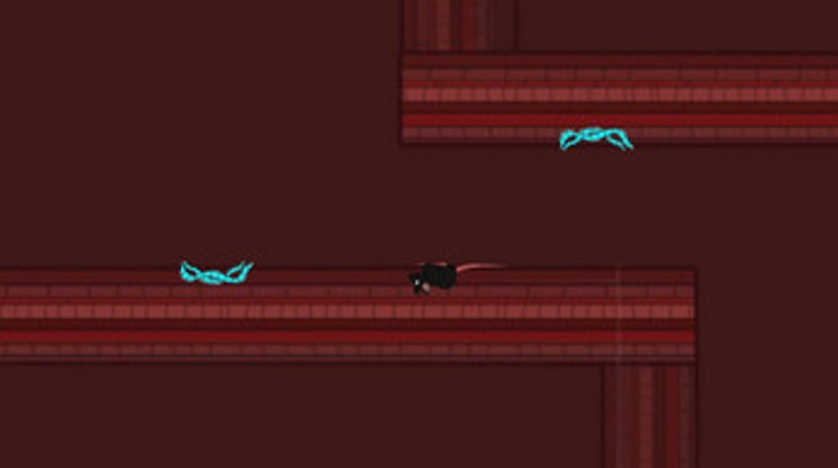 2020.01/ProjetoI/Rato Quântico screenshot