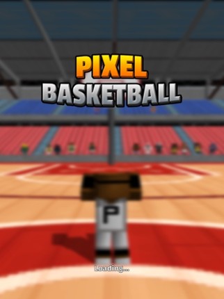 Pixel Basketball 3D Image