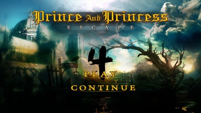 Prince And Princess Escape 4 screenshot