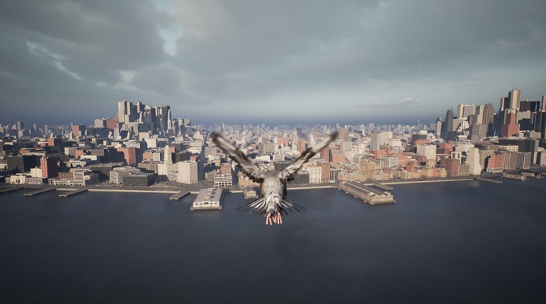 Pigeon Flight Simulator screenshot