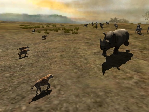 Africa Wild Free Image