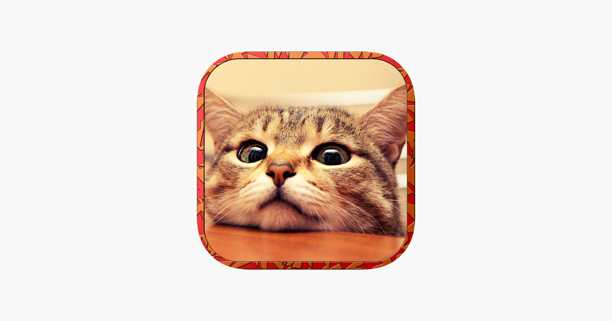 Games like Cat Runaway on Valentine Day - Cute Kitten Games