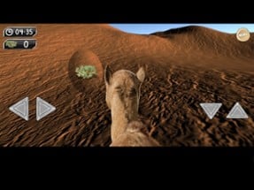 Drive Camel Simulator Image