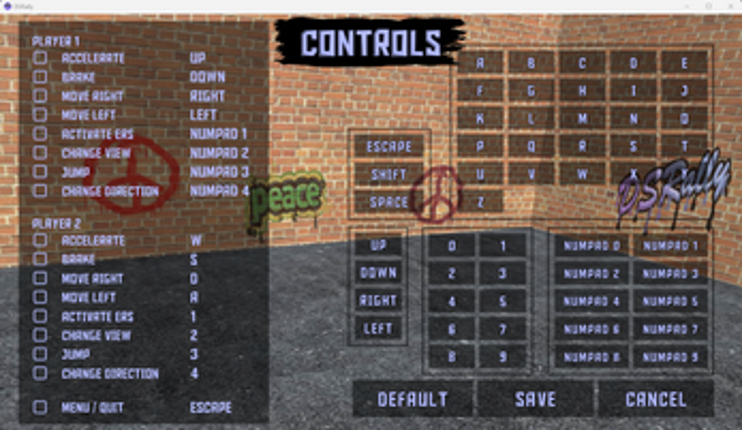 DSRally screenshot