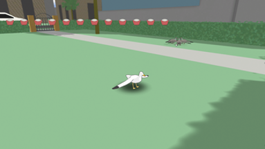 Seagull Simulator Image