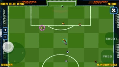 MicroSoccer Image