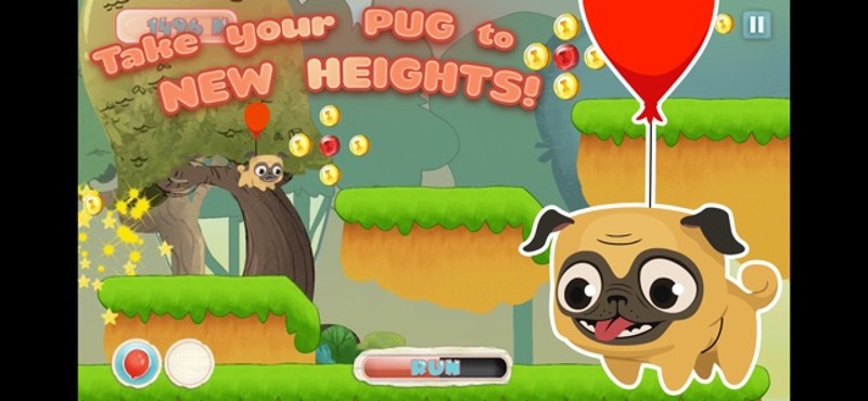 Pug Run Image