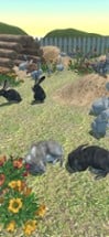 Rabbits Friends Image