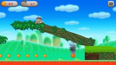 Super Pigwild Running Adventune Image