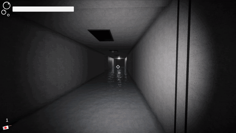 Flooded Halls Image