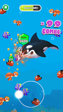 Fish Evolution Image