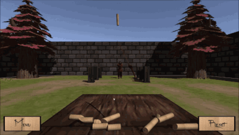 Tatami Samurai Image