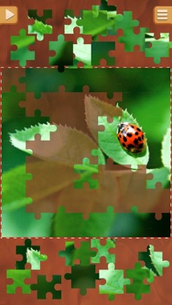 Leaf Puzzle Games - Real Picture Jigsaw Puzzles screenshot
