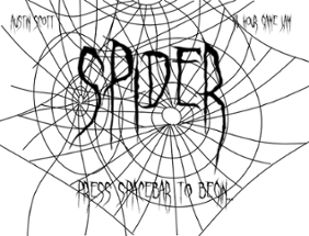 Spider Image