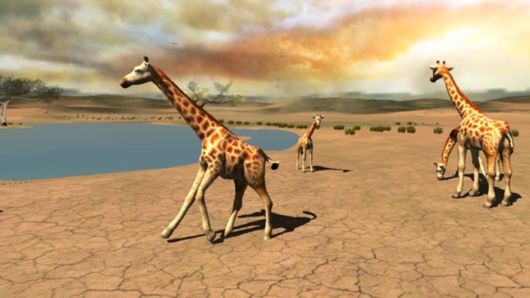 Africa Wild Free screenshot
