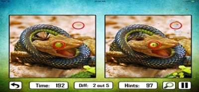 Animal Find The Difference Image