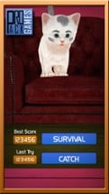 Cat Runaway on Valentine Day - Cute Kitten Games Image