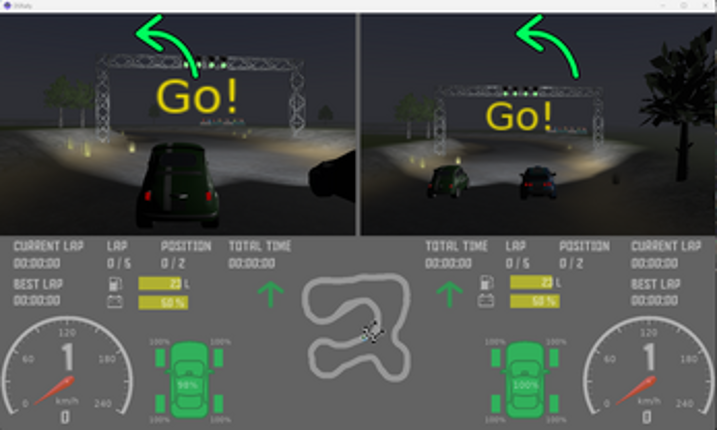 DSRally Image