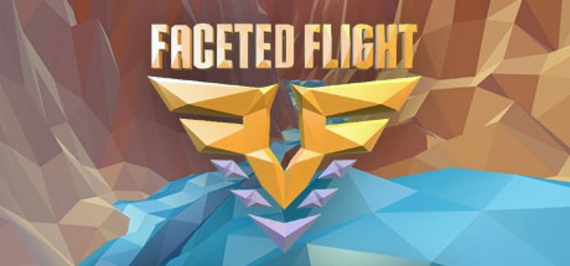 Faceted Flight Game Cover