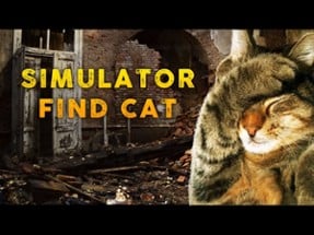 Simulator Find Cat Image