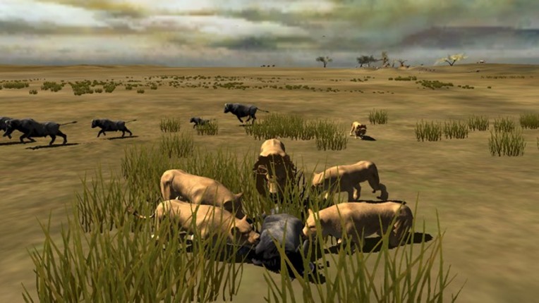 Africa Wild Free screenshot
