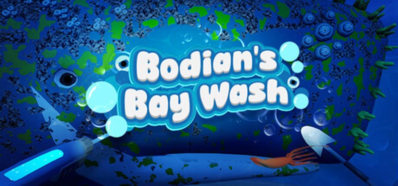 Bodian's Bay Wash Image