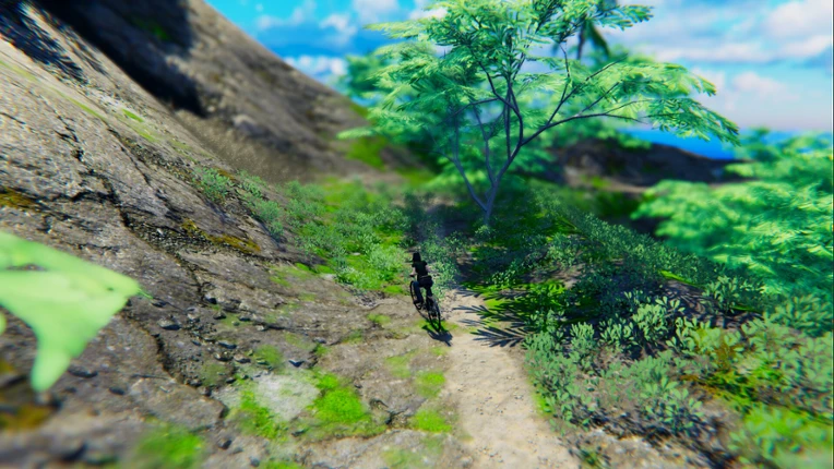Downhill Girl Image