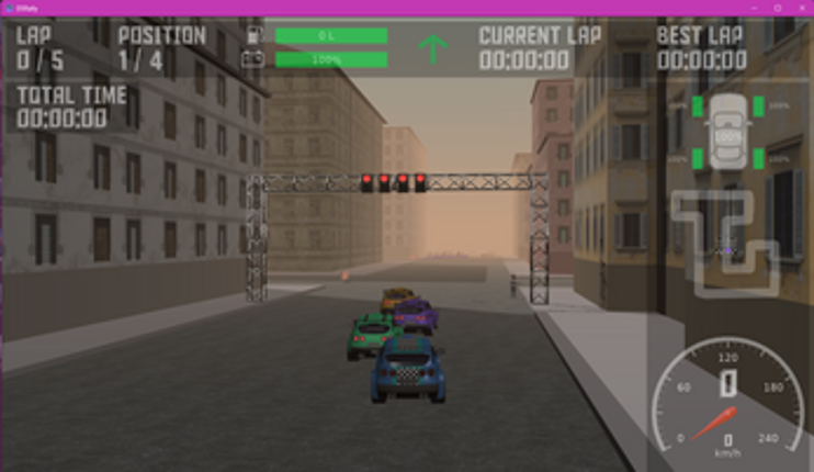 DSRally Image