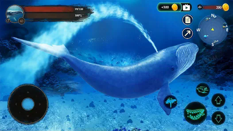 The Blue Whale screenshot